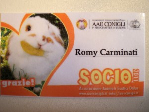 Tessera socio Lapin Lover Gold AAEConigli tessera associativa AAE