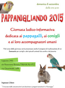 locandina pappanigliando 2015