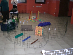 recinto con giochi per conigli