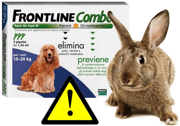 Non somministrare Frontline al Coniglio
